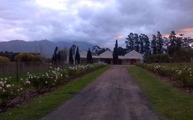 Lemberg Wine Estate
